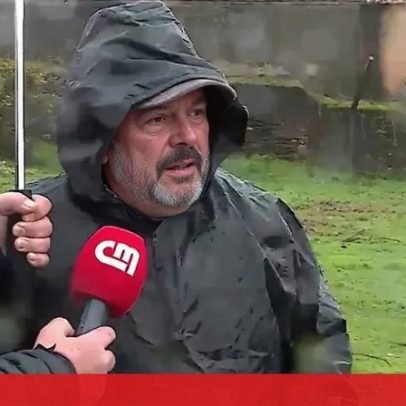 Homem perde 4 ovelhas e 16 cordeiros após ataque de cães em Albergara-a-Velha