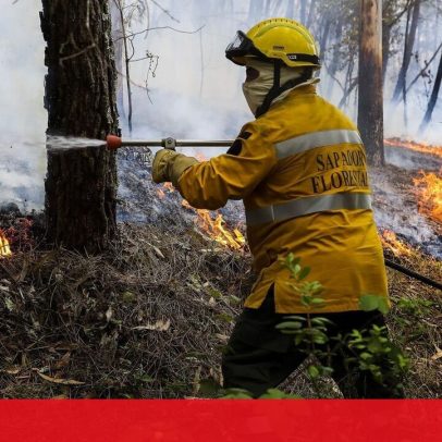 Sapadores florestais acusados de abusos em liberdade com pulseira eletrónica