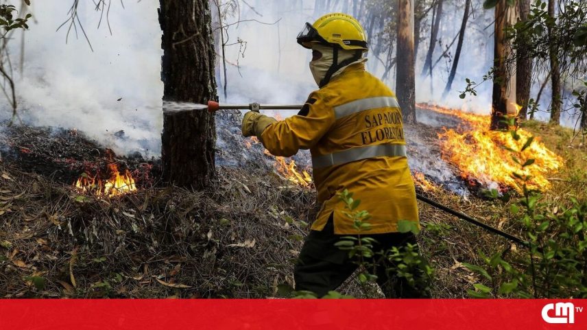 Sapadores florestais acusados de abusos em liberdade com pulseira eletrónica