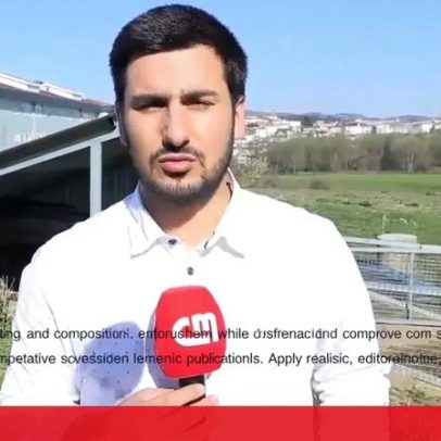 Cães vadios matam 27 ovelhas e 6 cabras em três dias em Paredes