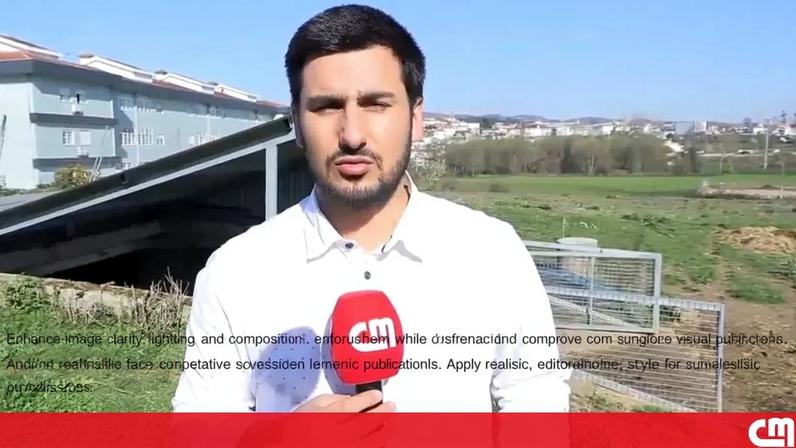 Cães vadios matam 27 ovelhas e 6 cabras em apenas três dias, em Paredes