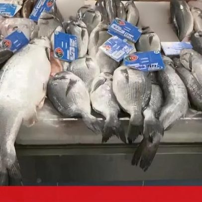 Conflito no Médio Oriente pode afetar preços dos alimentos