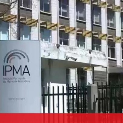 IPMA enganado por pescador para recolher amêijoas no Tejo; 348 hospitalizados