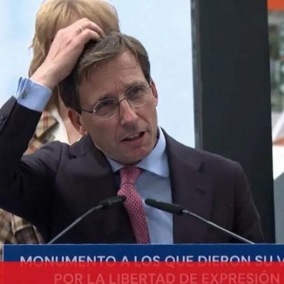 Presidente da Câmara de Madrid é atingido por dejetos de pombo durante discurso