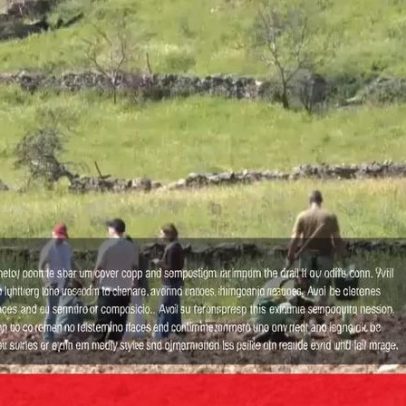 Alunos e comunidade reflorestam serra de Nisa