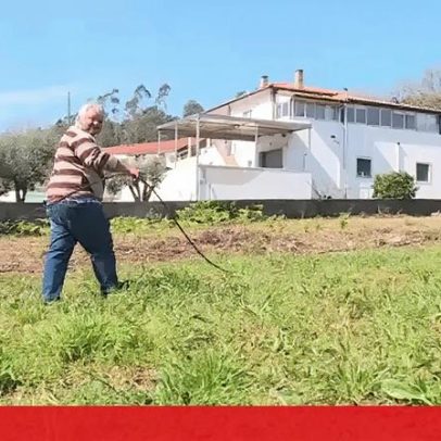 Porto de Mós: cabos caídos das tempestades afetam agricultores