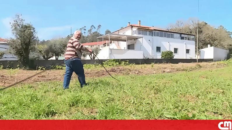 Porto de Mós ainda sofre com efeitos das tempestades. Cabos caídos nas terras estorvam agricultores