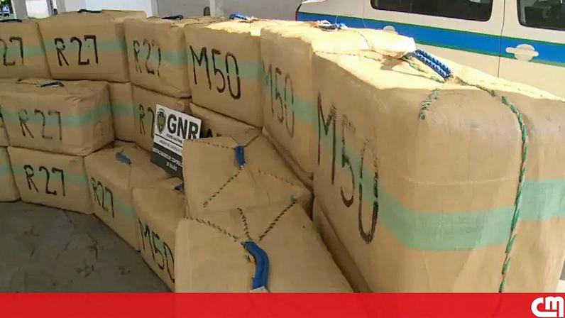 PJ apanha grupo criminoso com 350 kg de haxixe em Olhão