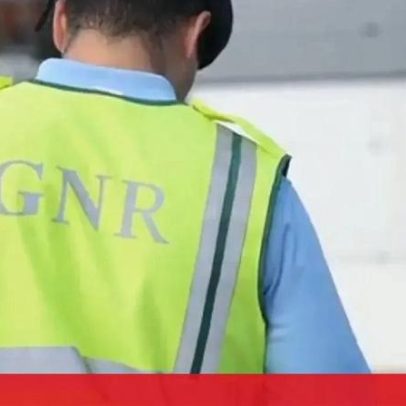 Soltos quatro líderes de rede de fabrico de lanchas rápidas