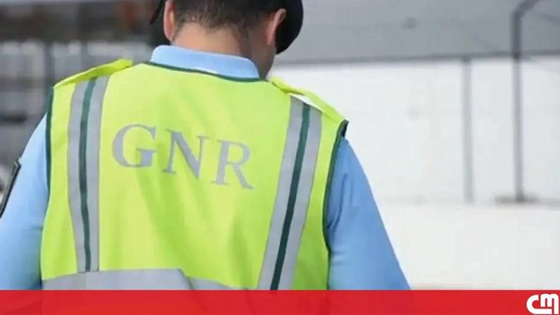 Soltos quatro cabecilhas de rede de fabrico de lanchas rápidas