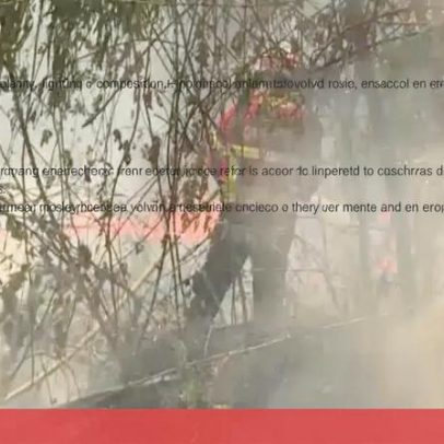 Queimada descontrolada provoca incêndio em Tarouca