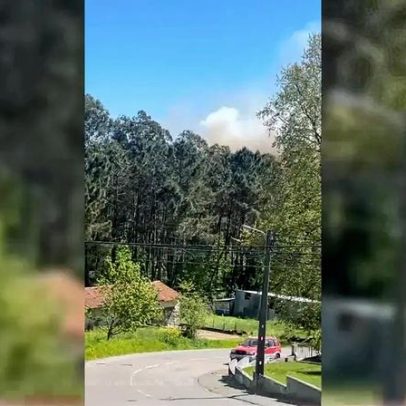 Incêndio florestal deflagra em Aveiro