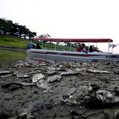 OMM antevê possível regresso do El Niño