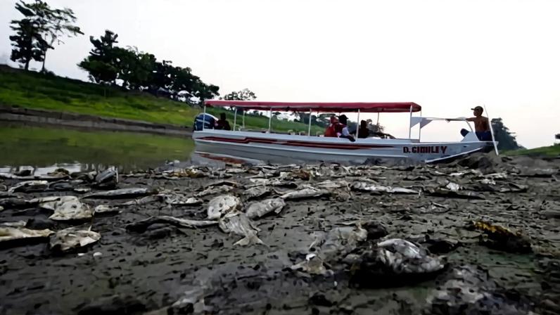 Organização Meteorológica Mundial estima que El Niño poderá regressar