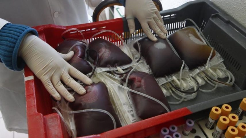 Em 2024 estavam inscritos 200 mil dadores de sangue e foram realizadas quase 300 mil dádivas