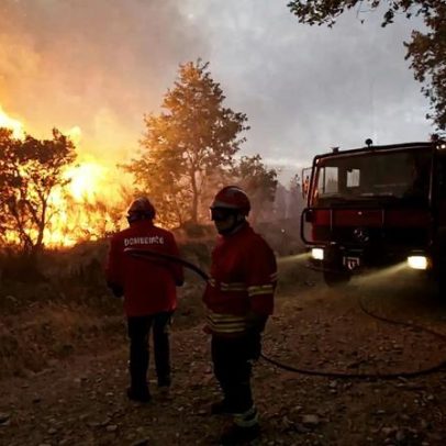 Homem de 51 anos constituído arguido por incêndio em mato no Sabugal