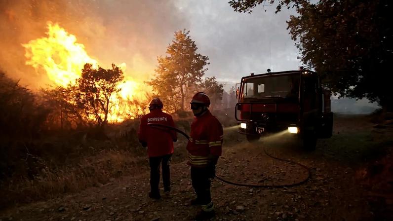 Homem de 51 anos constituído arguido por incêndio em mato no concelho do Sabugal