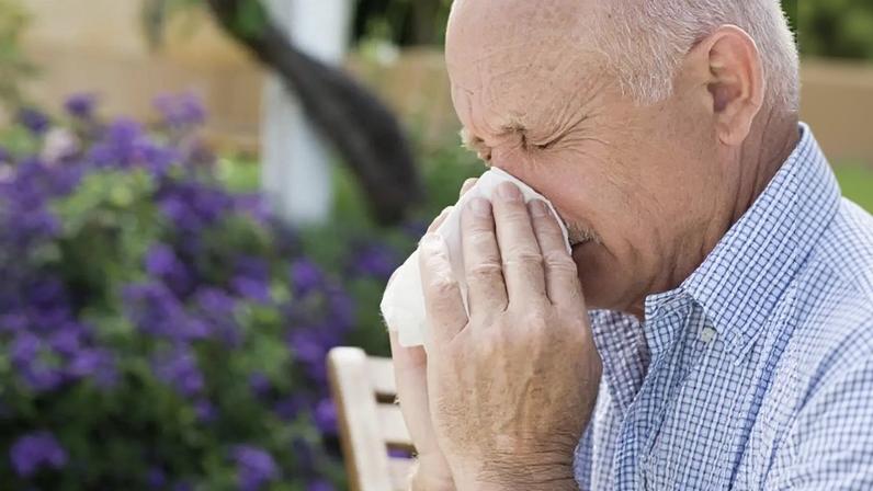 Concentração de pólen elevada em Lisboa, Alentejo e Algarve