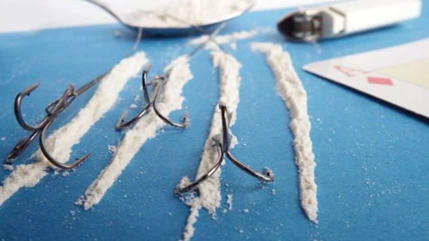 Quantidade de haxixe e cocaína apreendida aumentou em 2025