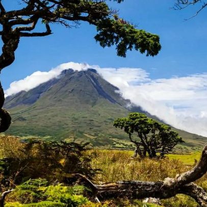 Vento intenso causa danos a casas e empresas na Madalena, Pico