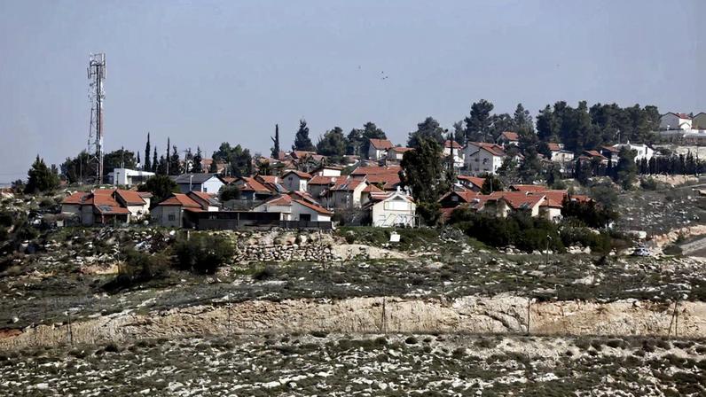 Ativista portuguesa espancada por colonos israelitas na Cisjordânia
