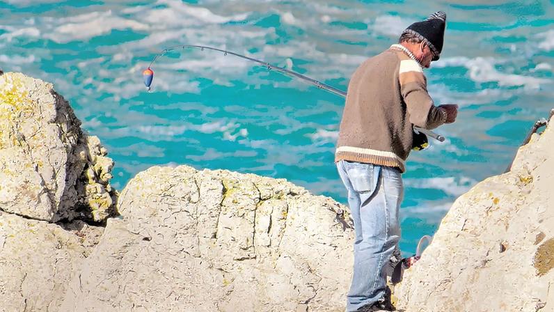 Já se pode pescar sargo na Costa Vicentina depois do defeso