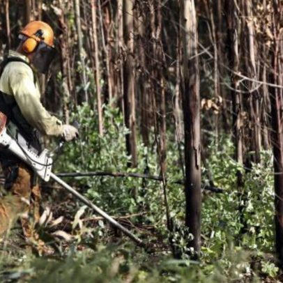Preços dos combustíveis podem comprometer limpeza de terrenos