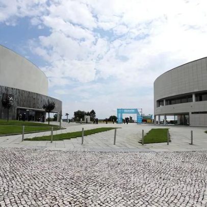 Centro de Apoio de Oliveira do Bairro acompanhou mais de mil imigrantes em 2025