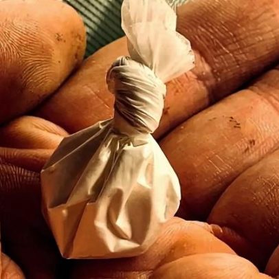 Ministério Público de Portalegre acusa dois arguidos por tráfico de droga