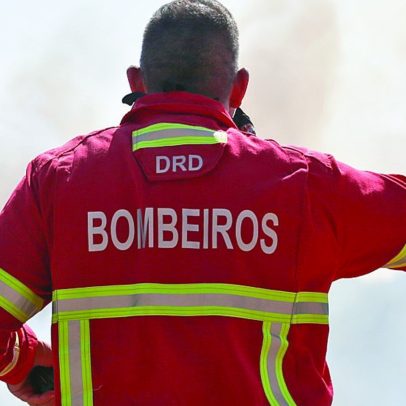 Incêndio em habitação mata animais de estimação