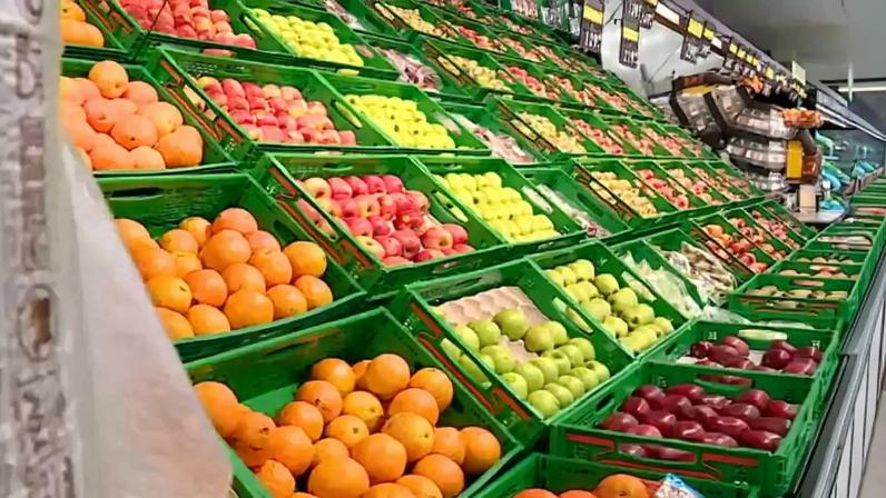 Cabaz alimentar atinge máximo de 254,32 euros