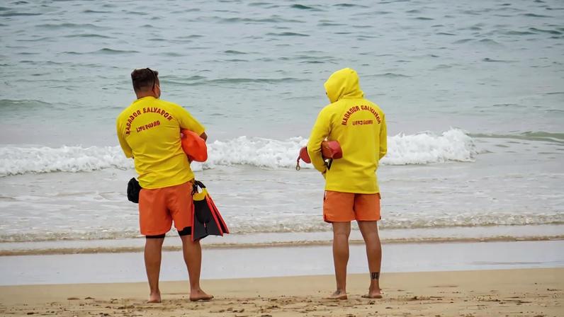 Nadadores-salvadores