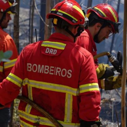 Mais de 100 operacionais combatem fogo no Parque Nacional da Peneda-Gerês
