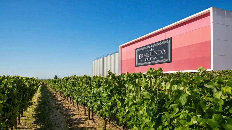 Casa Ermelinda Freitas