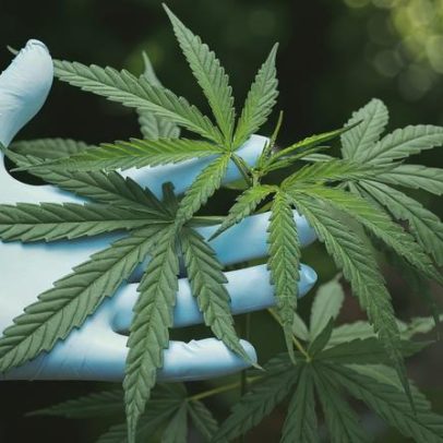 Homem condenado a prisão por tráfico de droga em Campo Maior