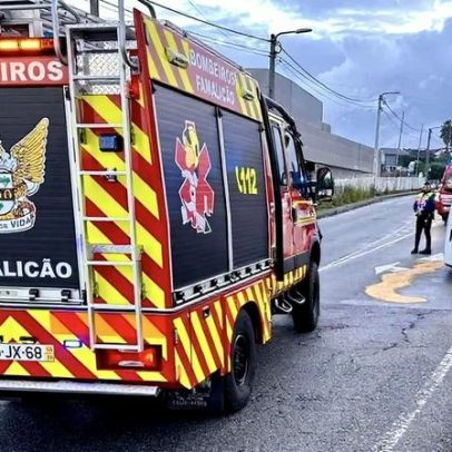 Quatro gatos resgatados após incêndio de cozinha em Famalicão