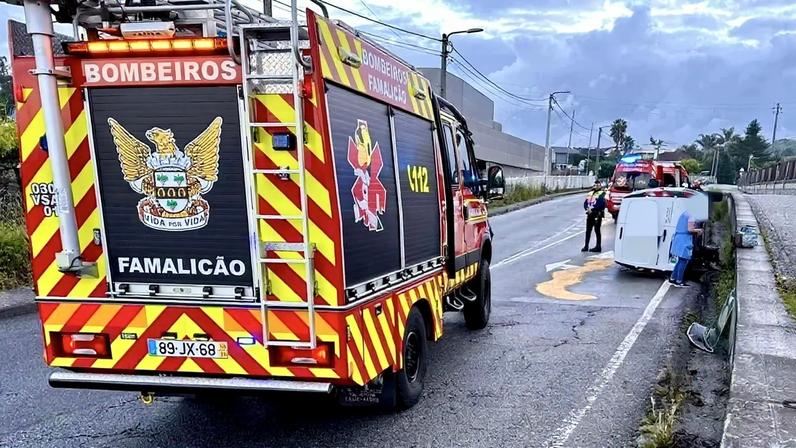 Quatro gatos resgatados após incêndio de cozinha em Famalicão
