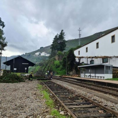 Câmara de Torre de Moncorvo exige celeridade na reabertura da linha Régua-Pocinho