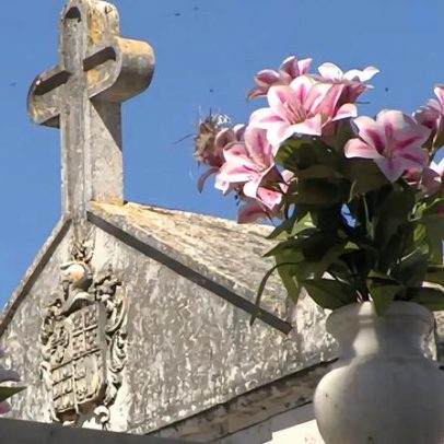 Estado não paga funerais de crianças; pais pedem alteração à lei