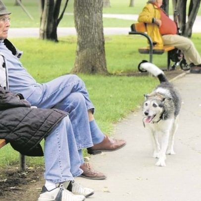 Esperança de vida na UE sobe para 81,5 anos em 2024