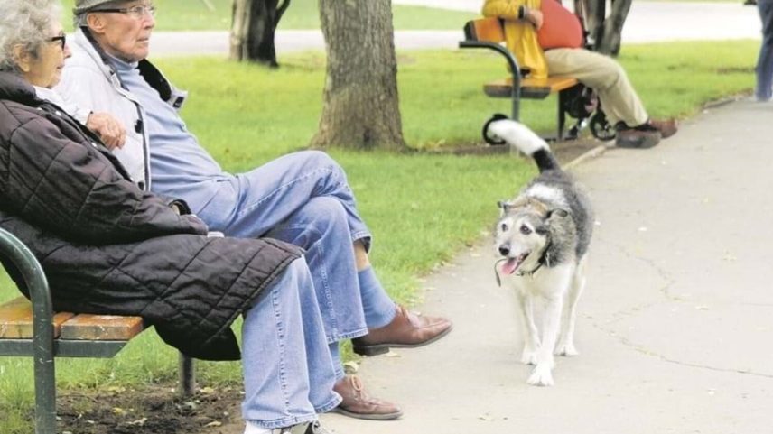 Esperança de vida na UE sobe para 81,5 anos em 2024