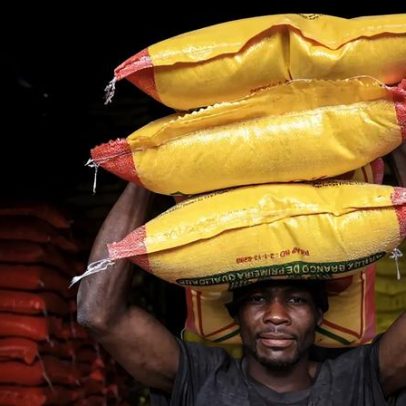 Moçambique afirma que projeto financiado pelos EUA aumenta produtividade