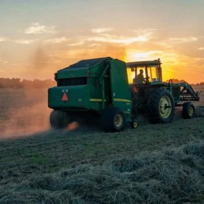 Setor agrícola regista perda de 210 mil trabalhadores