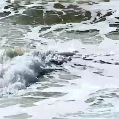 Capitania do Funchal emite aviso de mau tempo no arquipélago da Madeira