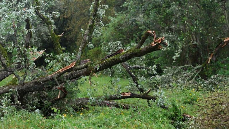 Sardoal estima custo de reparações das tempestades superior a 10 milhões de euros