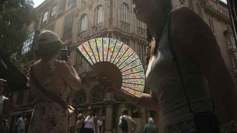 Vagas de calor afetam até 75% das espécies animais, indica estudo