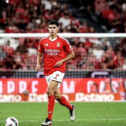 António Silva rejeita sondagens de Rui Costa para renovar contrato