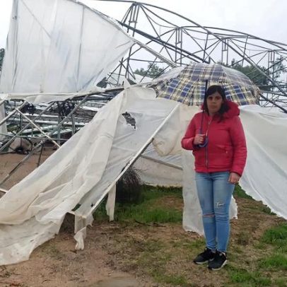 Mini tornado provoca estragos em estufas no concelho de Vila Franca, Açores