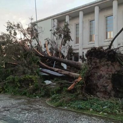 Região de Leiria critica responsabilização de autarquias por atrasos