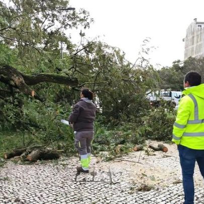 Tempestade Kristin liberta suspeito de violência doméstica em Pombal